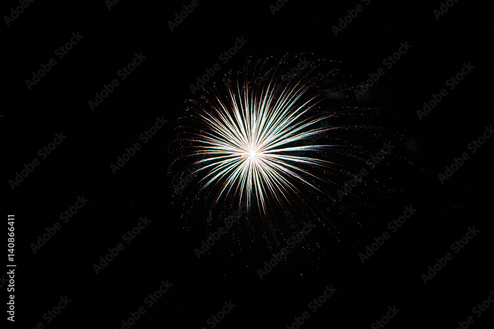 Fototapeta premium The 4th of July is cause to set off fireworks in celebration of our country.