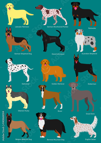 dog breeds set with breeds names