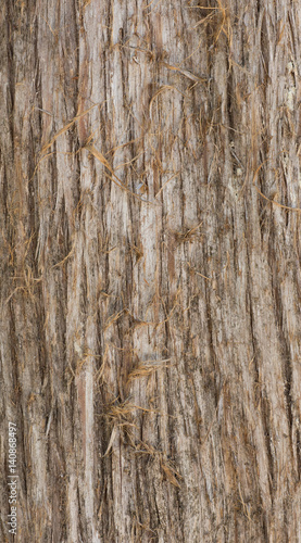 Old, distressed, rough and weathered wood tree bark surface wooden board gnarly natural background.
