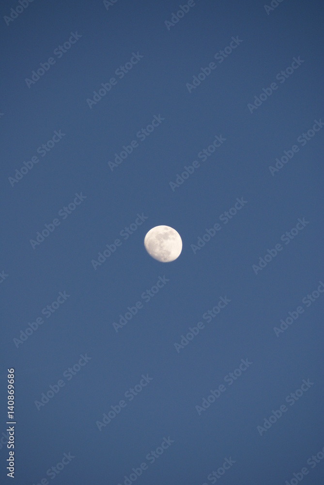 lune lune