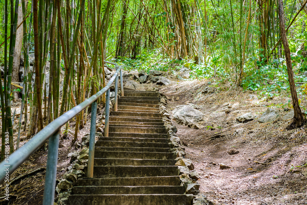 Obraz premium Natural path at the Hellfire Pass Trail