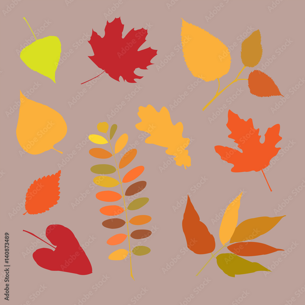 Collection of autumn leaves on a gray background