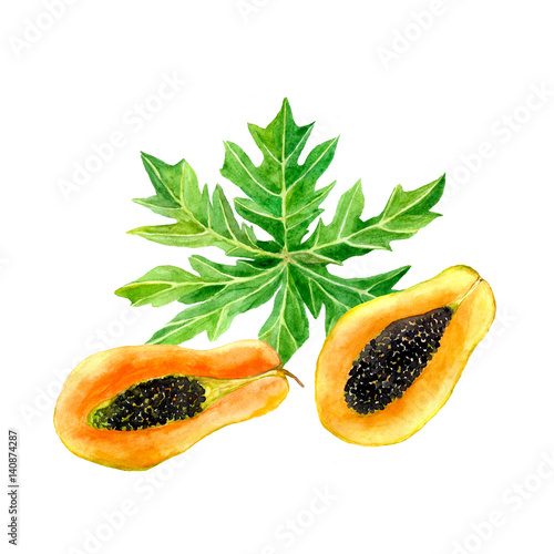 Watercolor papaya fruit with leaf isolated on a white background. Half slice hand drawn illustration..