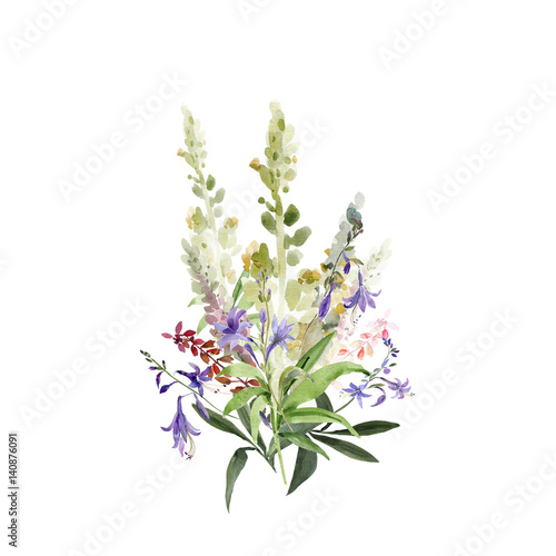 Watercolor illustration of wildflowers, painting on a white and colored background