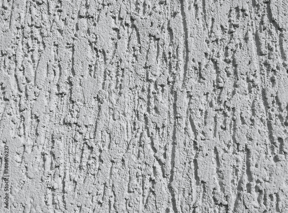 Wall for bark beetle texture background Wall for bark beetle texture background