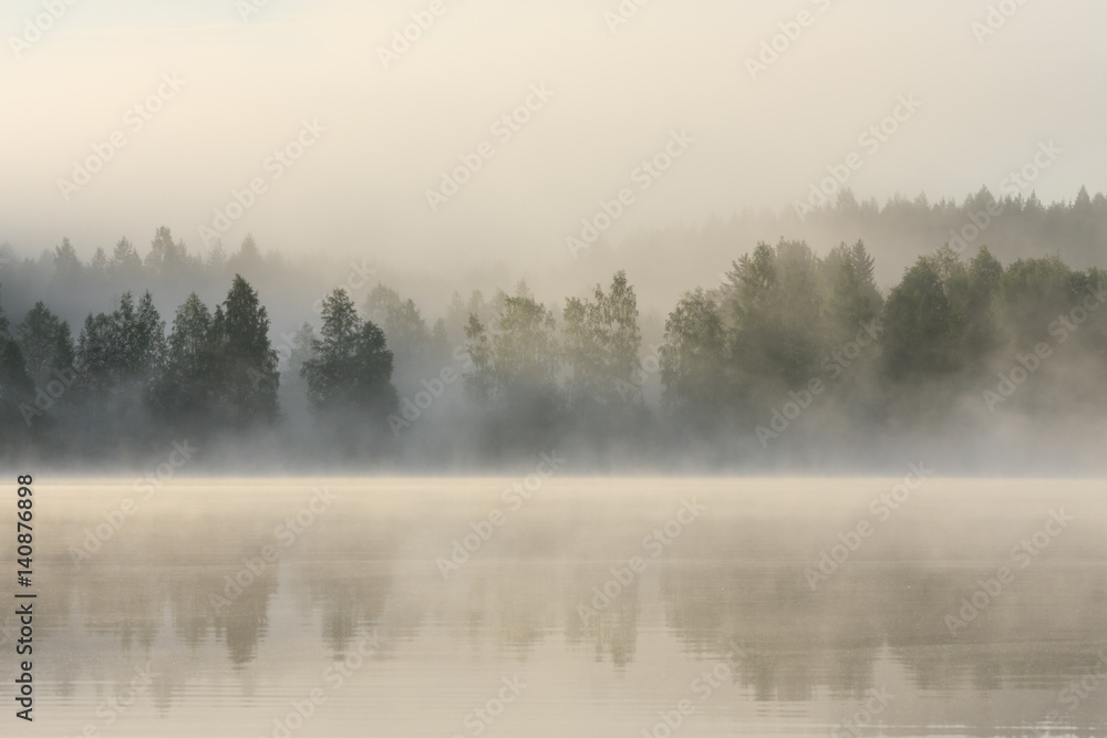 Foggy forest and lake at dawn 