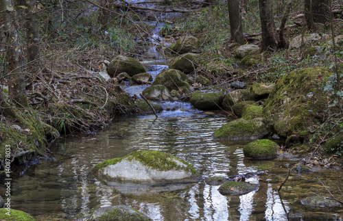 italy stream in mountain forest