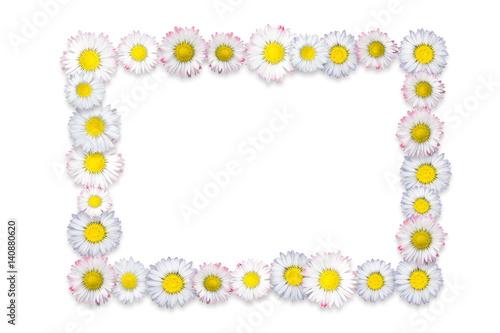 Fototapeta Naklejka Na Ścianę i Meble -  frame from daisies on white background
