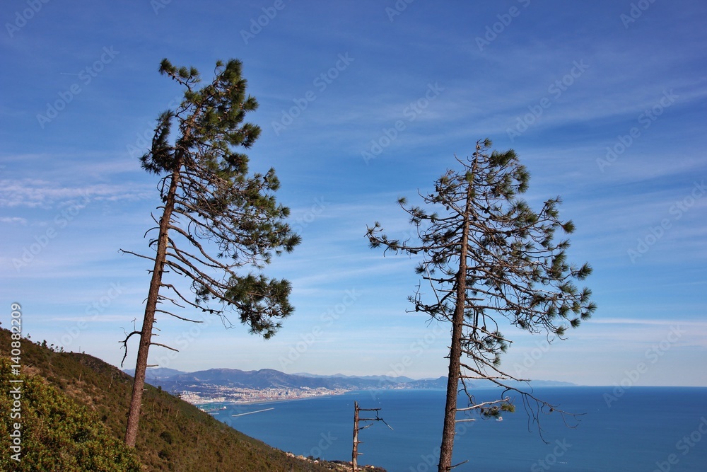 Obraz premium Beigua park, Arenzano, Italian Riviera