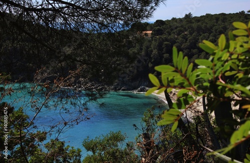 Spiaggia di Fetovaia, Isola d'Elba, Toscana photo