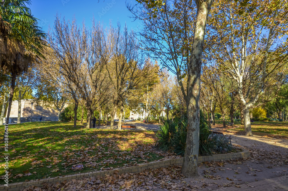 Fall Colours in a City Park with a path Fall Colours in a City Park with a path