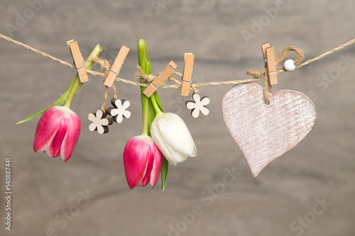 Fototapeta Naklejka Na Ścianę i Meble -  Tulpen und Herz