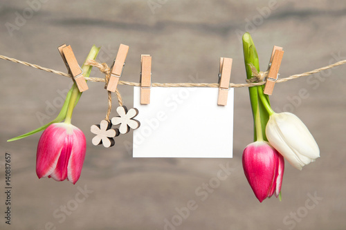 Fototapeta Naklejka Na Ścianę i Meble -  Tulpen und Karte