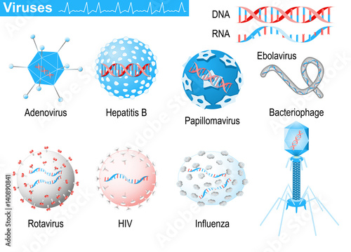 Viruses. RNA and DNA. Medical Infographic set with icons of viruses. medical symbols for design