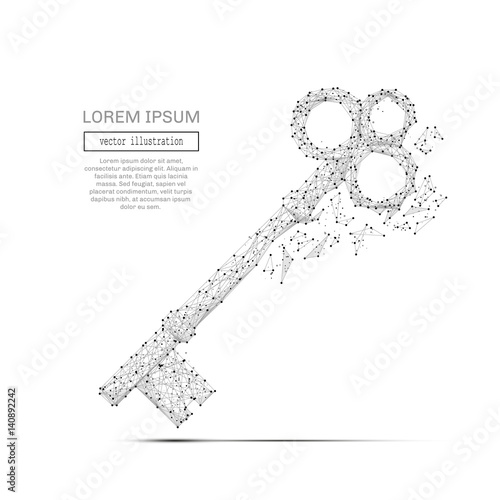 Abstract mash line and point vintage key on background with an inscription. Starry sky or space, consisting of stars and the universe. Vector business illustration