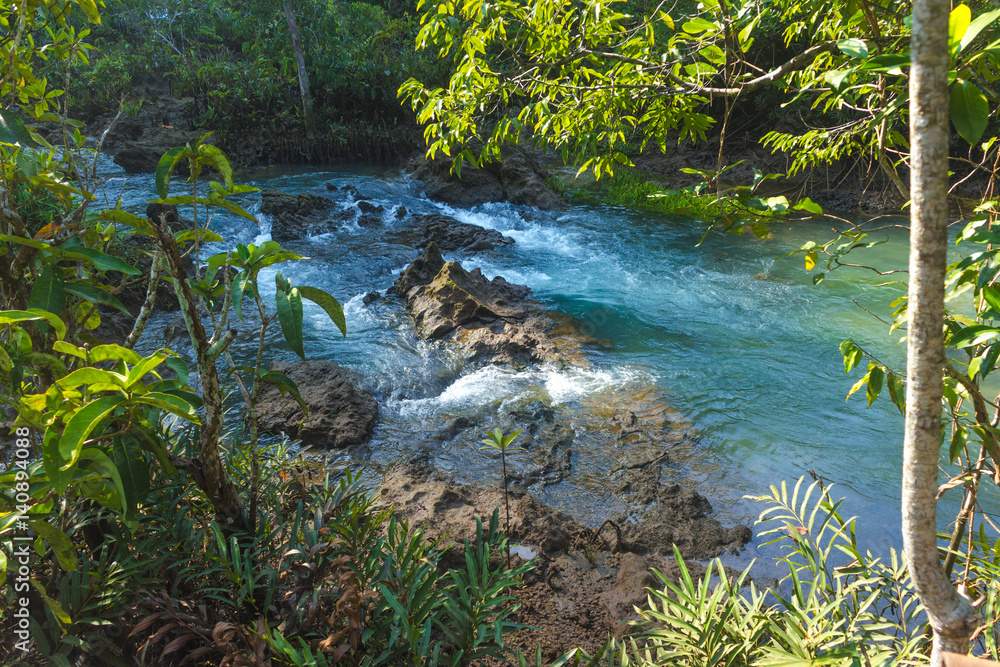 Mangrove forest and a river landscape at Thapom, Klong Song Nam, Krabi, Thailand Mangrove forest and a river landscape at Thapom, Klong Song Nam, Krabi, Thailand