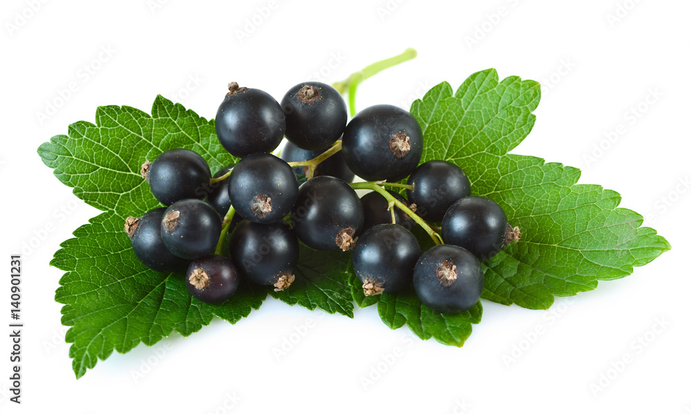 Black currants