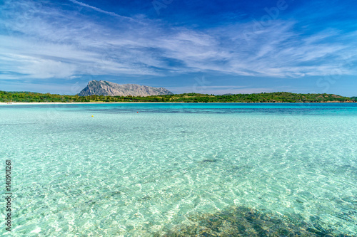 Fototapeta Naklejka Na Ścianę i Meble -  SONY DSC