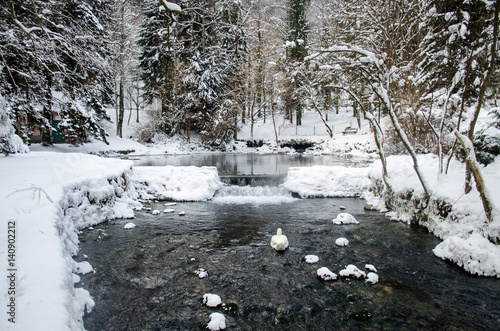 Spring of the Bosna river, park Vrelo Bosne near Sarajevo - Bosnia and Herzegovina, winter scene photo