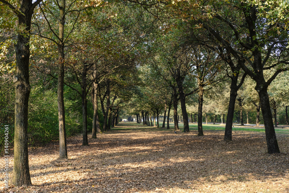 Milan (Italy): Parco Nord at fall