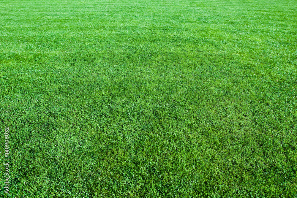 green lawn background green lawn background