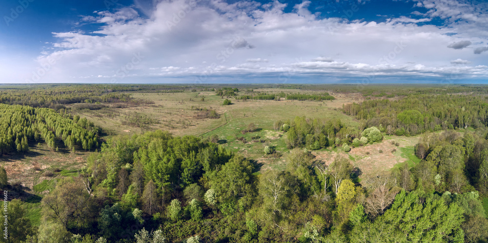 Field overgrown with forest. View from a height. Sunny day. Yaroslavl Region, Russia