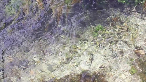 clear water of Pescara headwaters photo