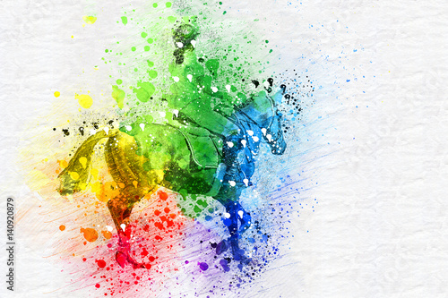 Woman Riding a Horse. Isolated. Equestrian Sport.