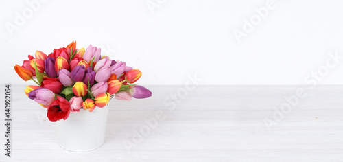Tulpen / weißer Hintegrund