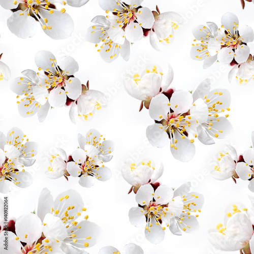 spring flowers  apricot