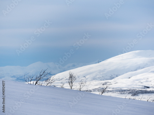 Mountain in Tromso © MARIA