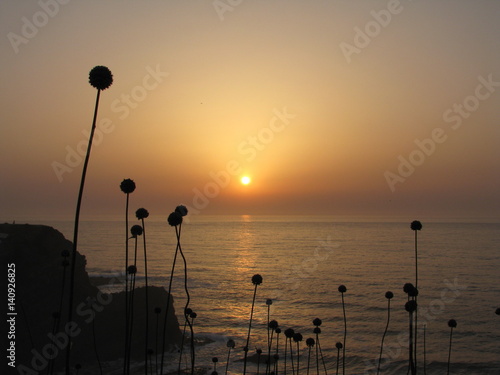 Algarve - Portugal