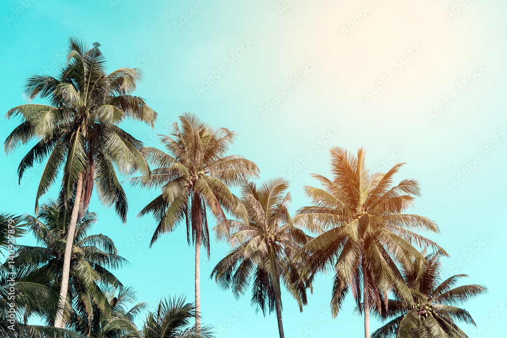 Coconut trees with sky 