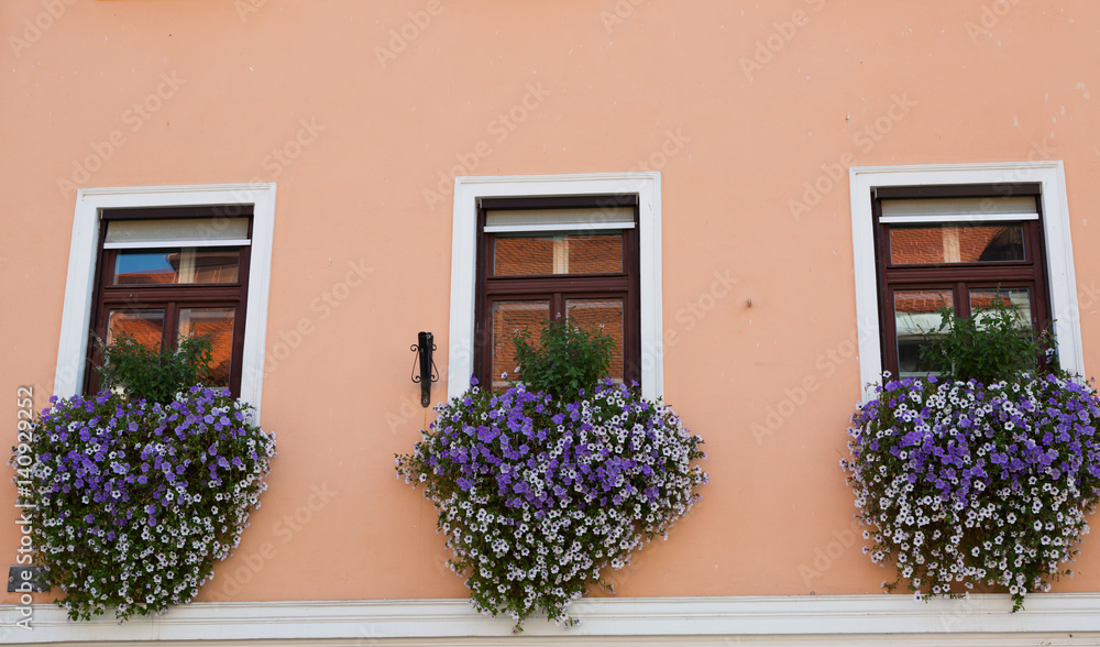 Three windows on a wall, decorated with blooming flowers