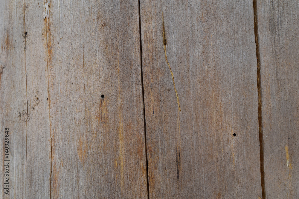 Bark of pine background texture Bark of pine background texture