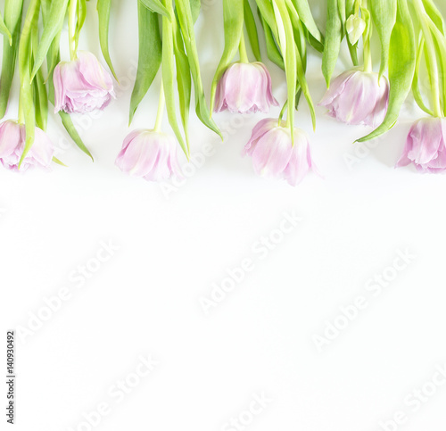 Fototapeta Naklejka Na Ścianę i Meble -  Spring flowers on white background. Pink tulips.
