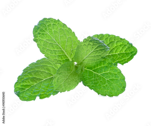 Mint leave isolated on white background