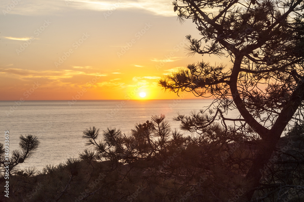 Sunset on Pacific Ocean at Torrey Pines State Park, California Sunset on Pacific Ocean at Torrey Pines State Park, California