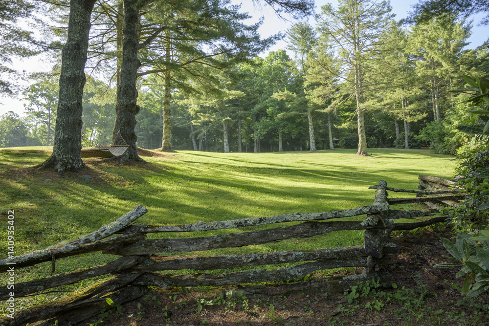 Hammock under pine treed lawn Hammock under pine treed lawn