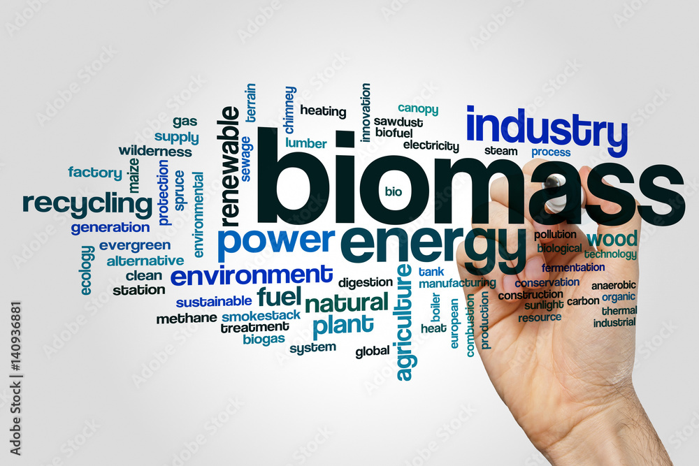 Biomass word cloud concept on grey background Biomass word cloud concept on grey background