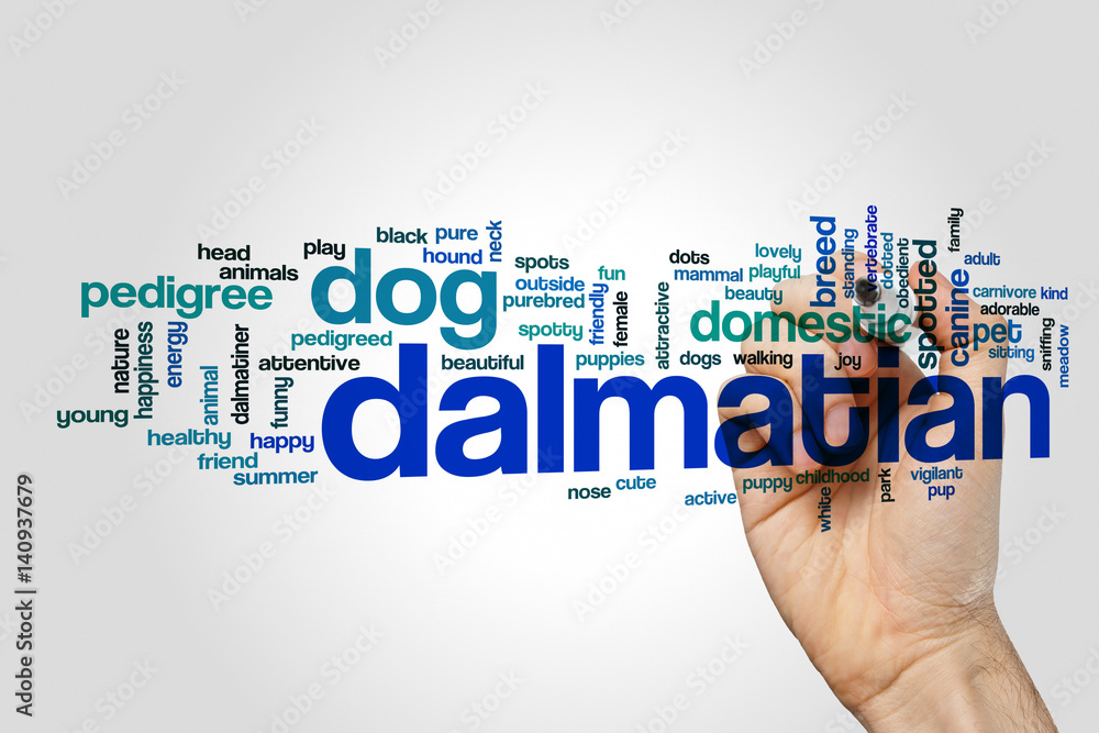 Dalmatian word cloud on grey background Dalmatian word cloud on grey background