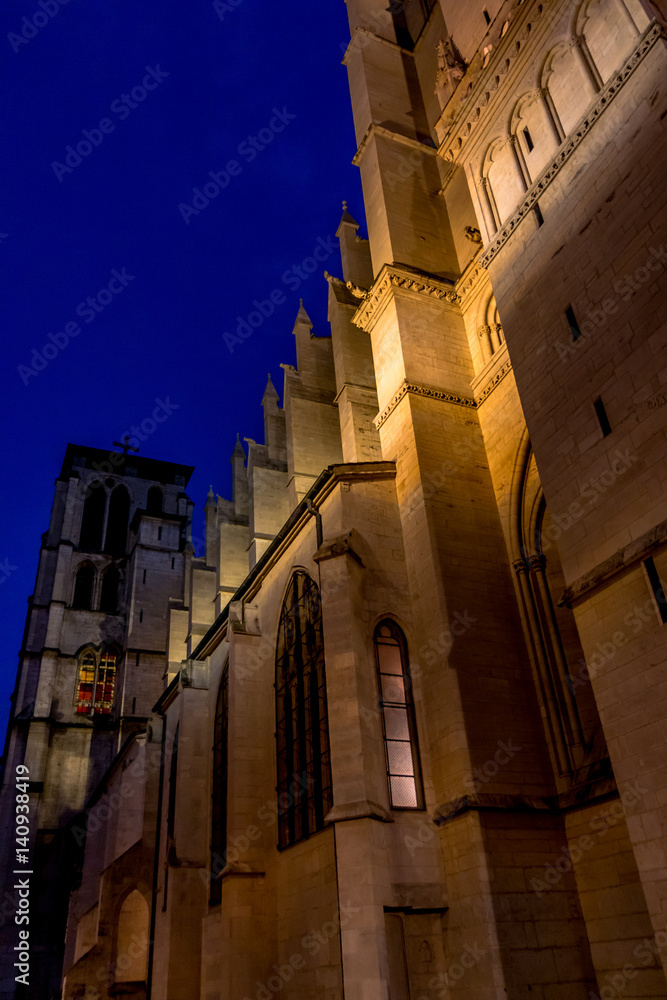 Cathédrale Saint-Jean-Baptiste de nuit à Lyon 