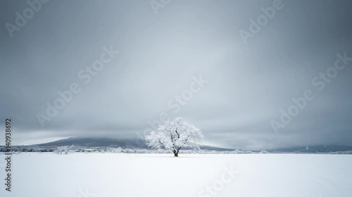 Cherry tree in winter 4K Timelapse long exposures 001