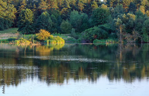 Evening summer lake landscape.