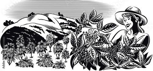 Landscape with Girl, which collects in a coffee plantation.