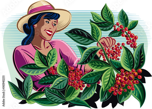 Girl, which collects coffee on a plantation.