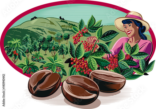oval frame, with coffee beans and harvesting of coffee on a plantation.