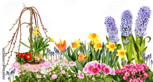 Fototapeta Naklejka Na Ścianę i Meble -  Frühlingsblumen