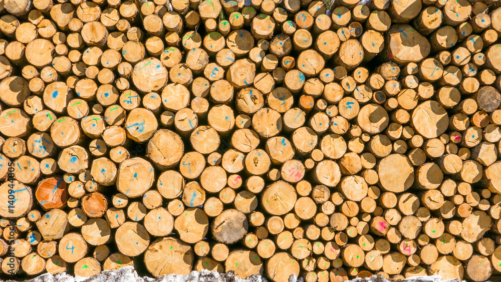 Pile of large number of timber logs stacked in the forest Pile of large number of timber logs stacked in the forest