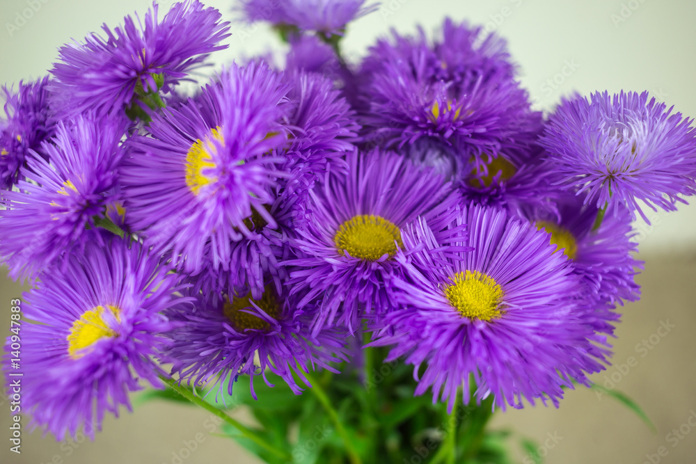 wild flowers, gift spring bouquet. declaration of love. wild flowers, gift spring bouquet. declaration of love.
